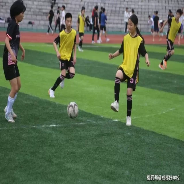 网球红土赛程观察：深度解析第303组亮点